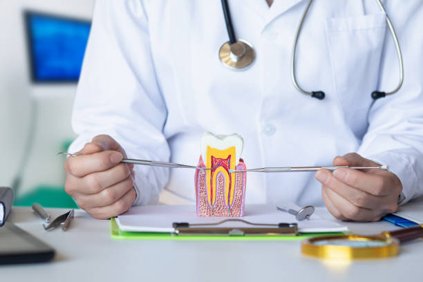 Best Emergency Dentist for Lost Fillings or Crowns in Rossville, IN